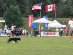 IMG_2675.JPG