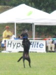 IMG_2676.JPG