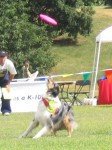 IMG_2681.JPG