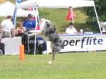 IMG_2683.JPG