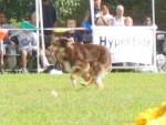 IMG_2686.JPG
