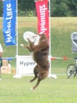 IMG_2687.JPG