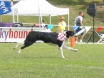 IMG_2695.JPG