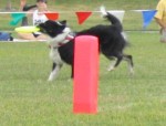 IMG_2697.JPG