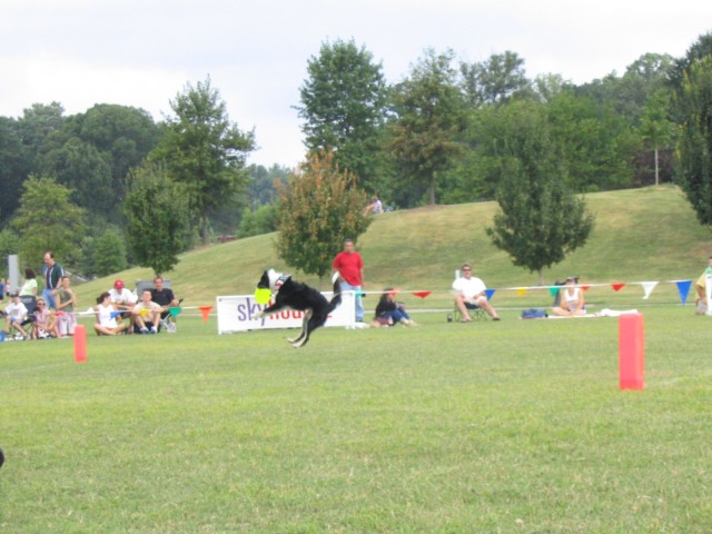 IMG_2699.JPG