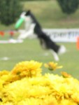 IMG_2703.JPG