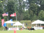 IMG_2704.JPG