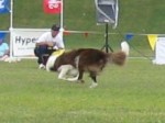 IMG_2705.JPG