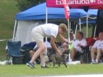 IMG_2706.JPG