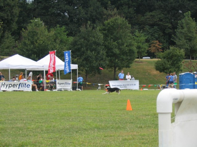 IMG_2708.JPG