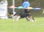 IMG_2710.JPG