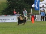 IMG_2713.JPG
