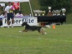 IMG_2714.JPG