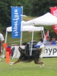 IMG_2715.JPG