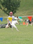 IMG_2716.JPG