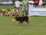 IMG_2733.JPG