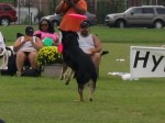 IMG_2740.JPG