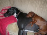Buckley and Madeline