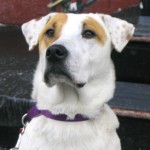 Ginny