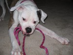 Abby