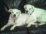 Laney&Falcor.jpg