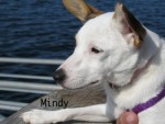Mindy