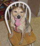 Sierra in time out.jpg