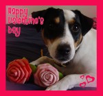 Roscoe Valentines