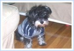 Roxie