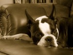 Ruthie
