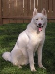 Sam