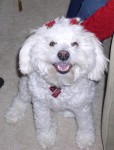 Zoey